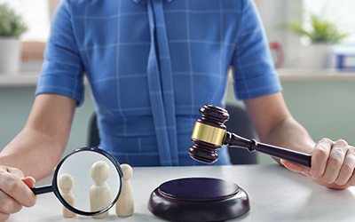 Judicial Inquiry
