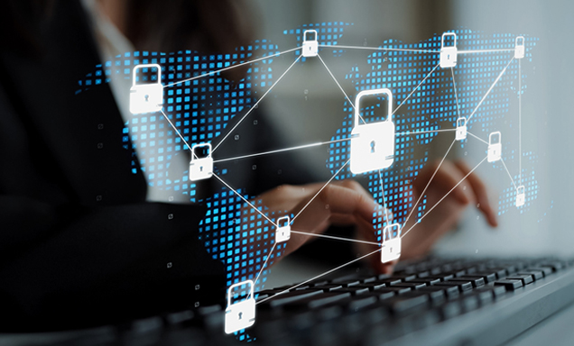 Digital Security Network